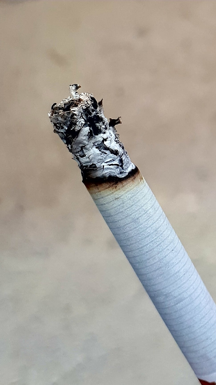 Cigarette