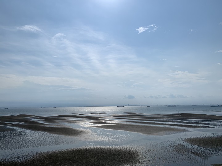 Tidal flat