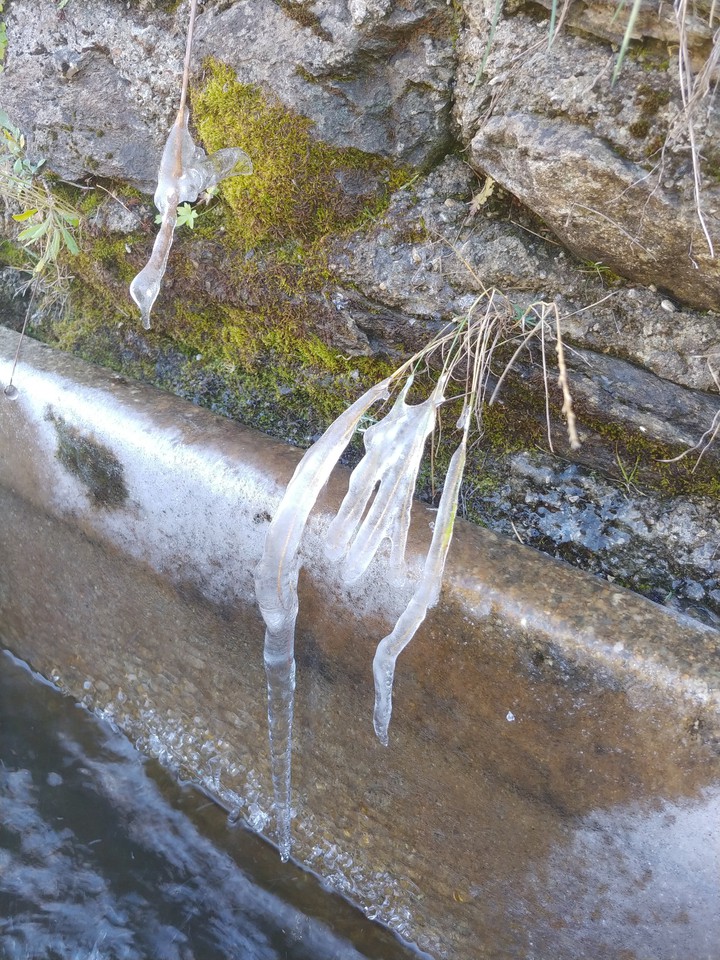 winter
