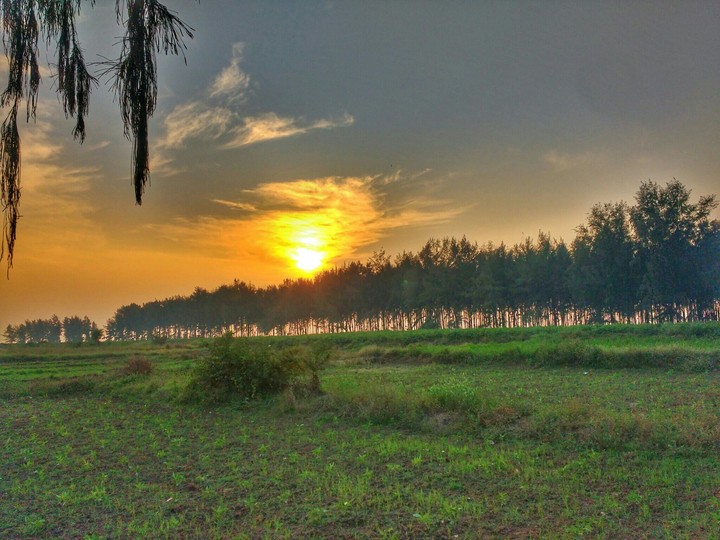 sunset