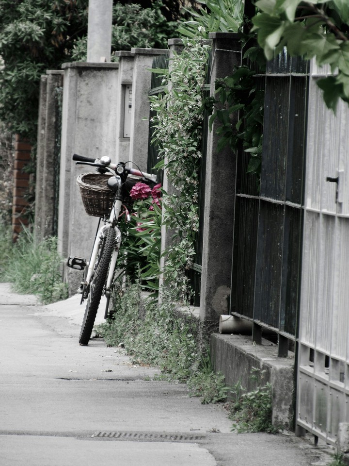 Bicicletta