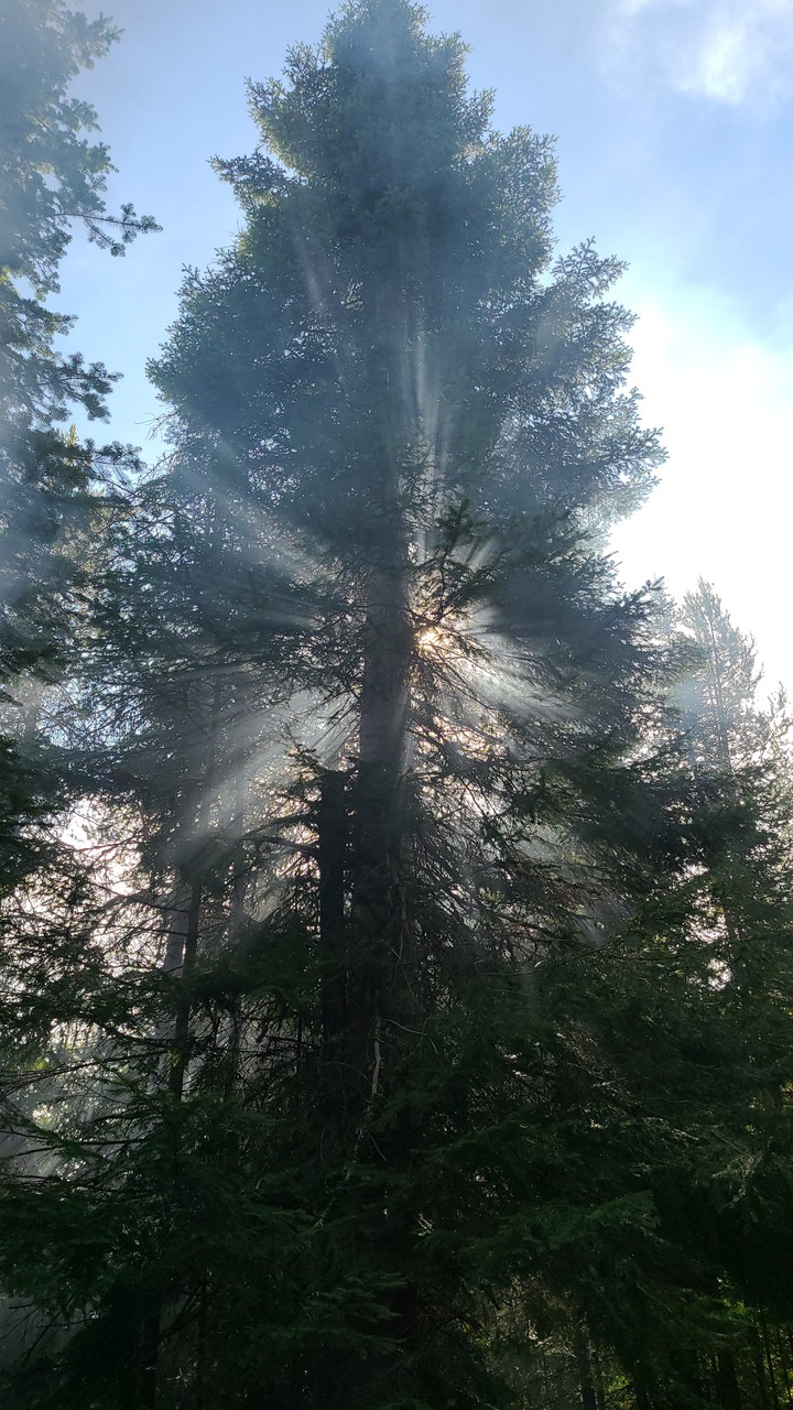 Campfire smoke and sunbeams