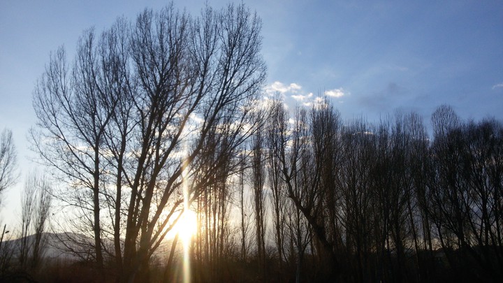 naturall