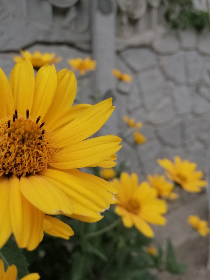 Nature♥️