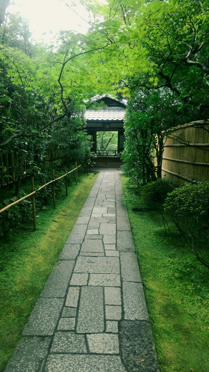 The Kyoto