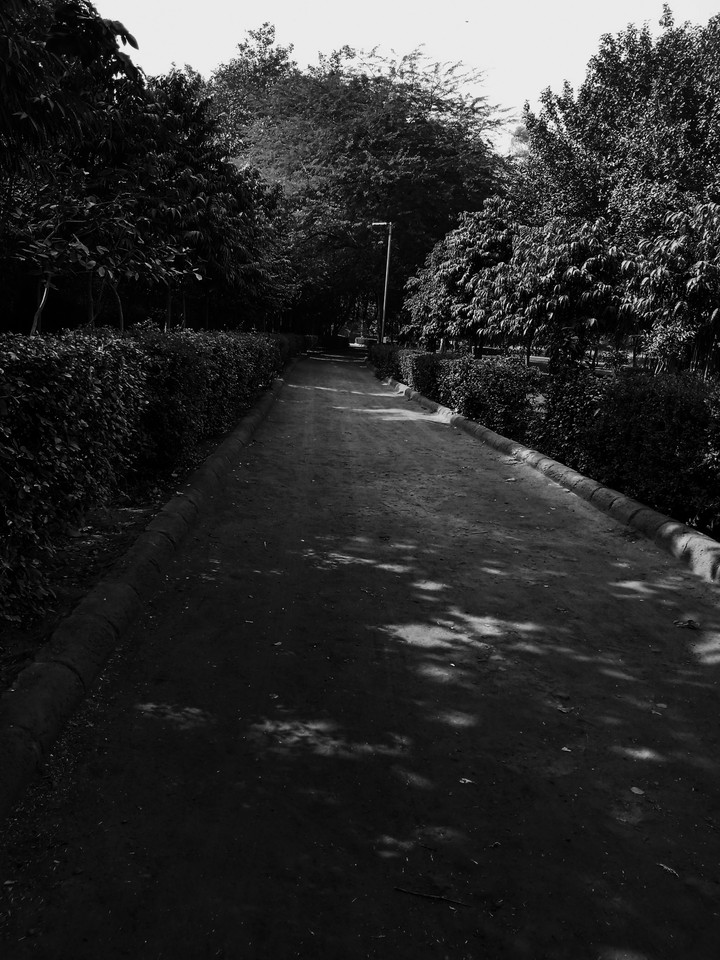 Dark Shades of Path