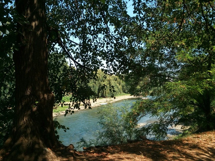Nature