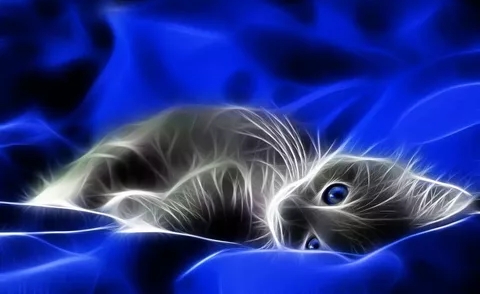 кот в понедельник