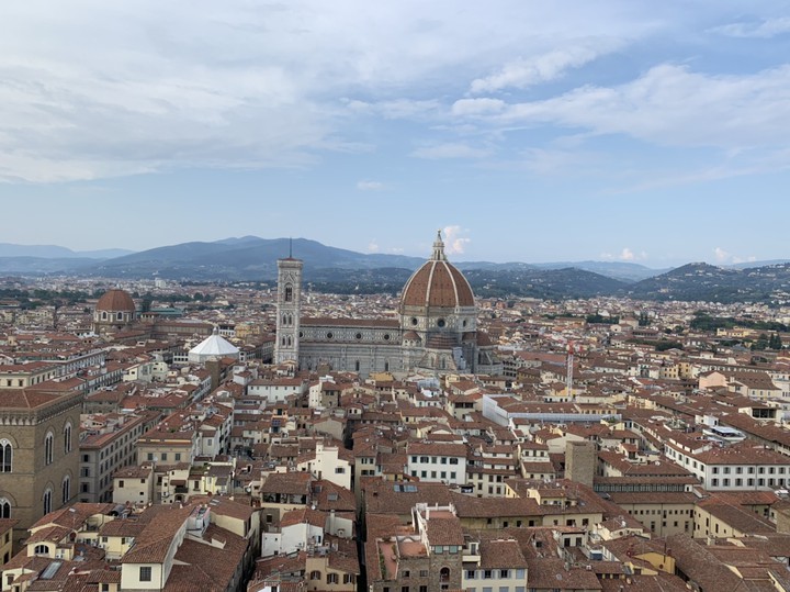 view