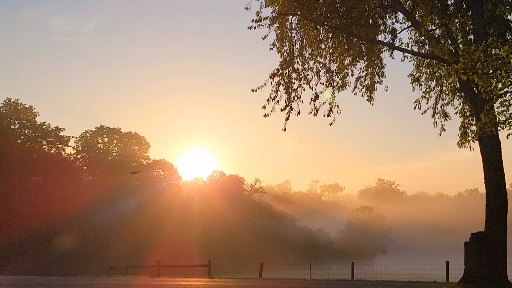 good morning wednesday