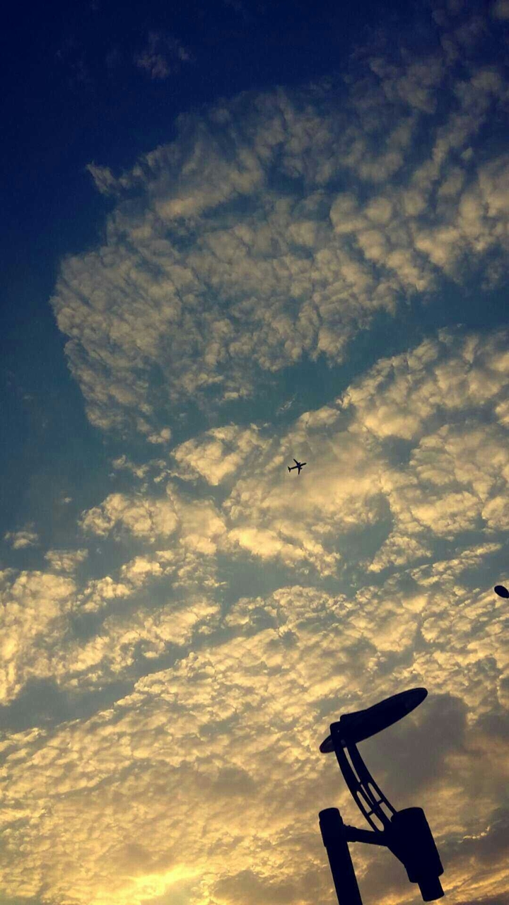 sunlight