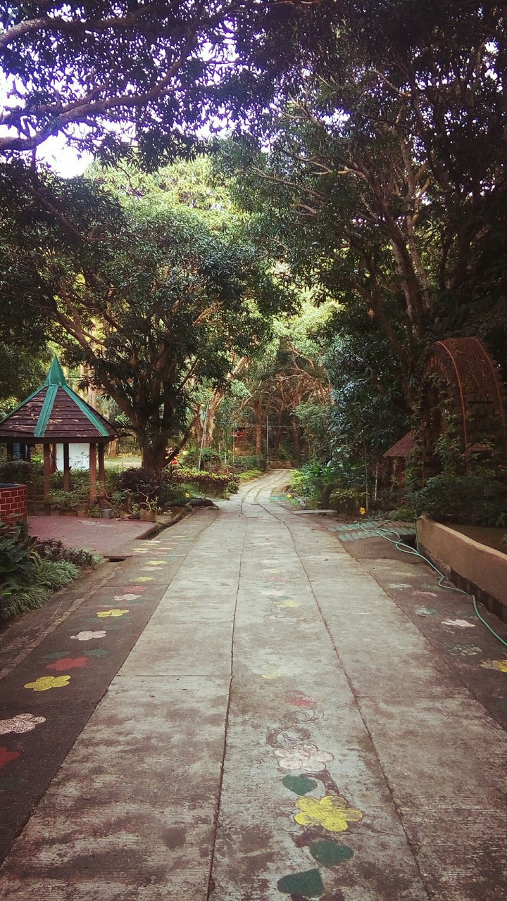 Botanical Park