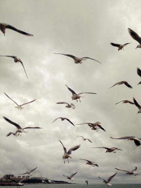 cloud, sky Hintergrundbilder
