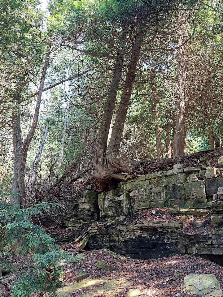 Door Bluff Park