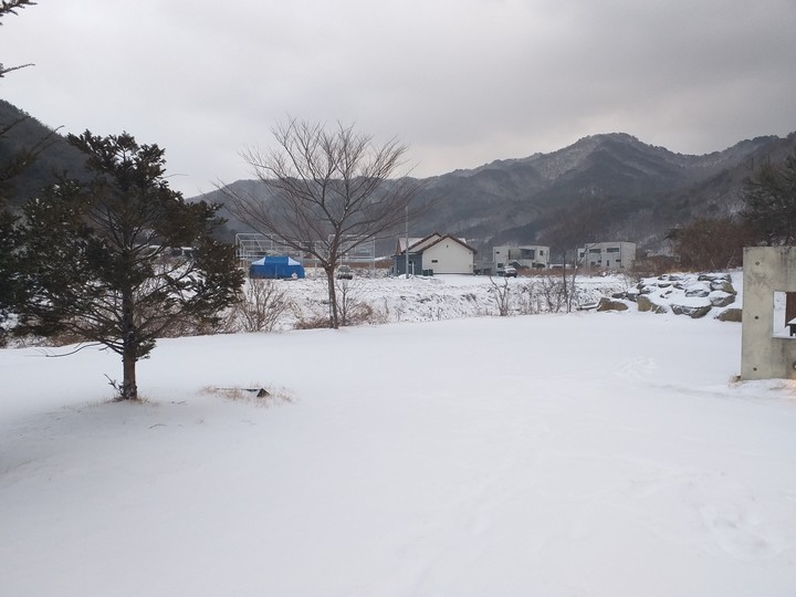 snow