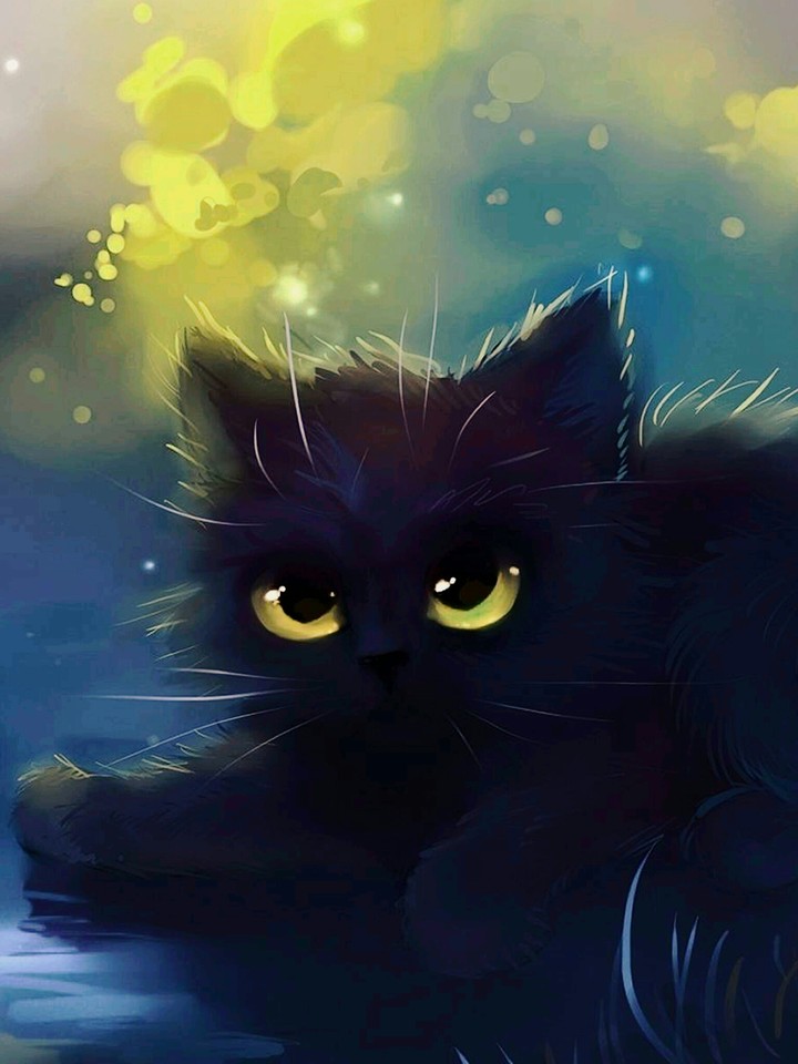 kitten