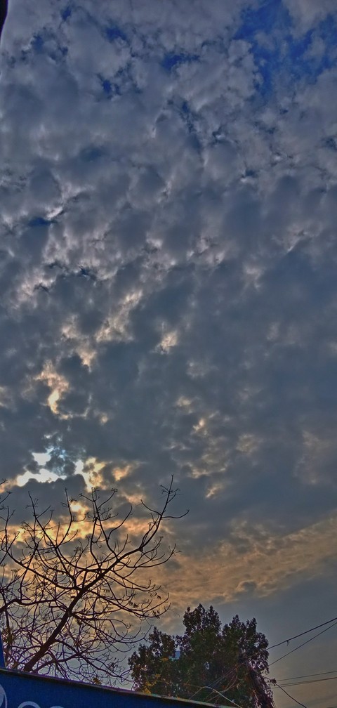 Sun Shine