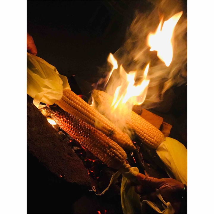 corn love