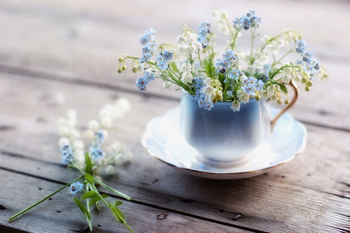 ❀❤️❀