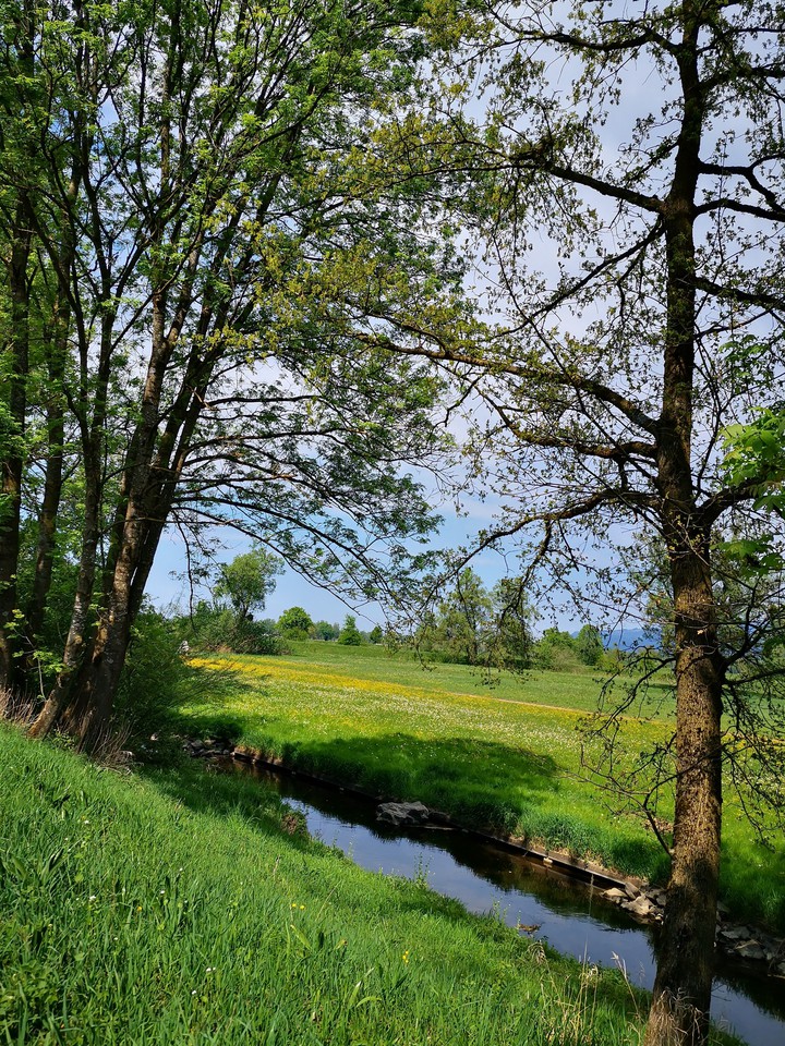 happy where i live