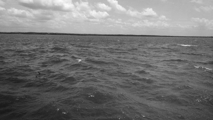 Black waters
