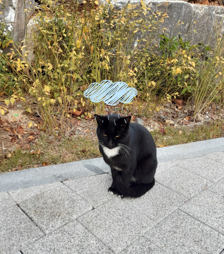 꾸물꾸물 오레오
