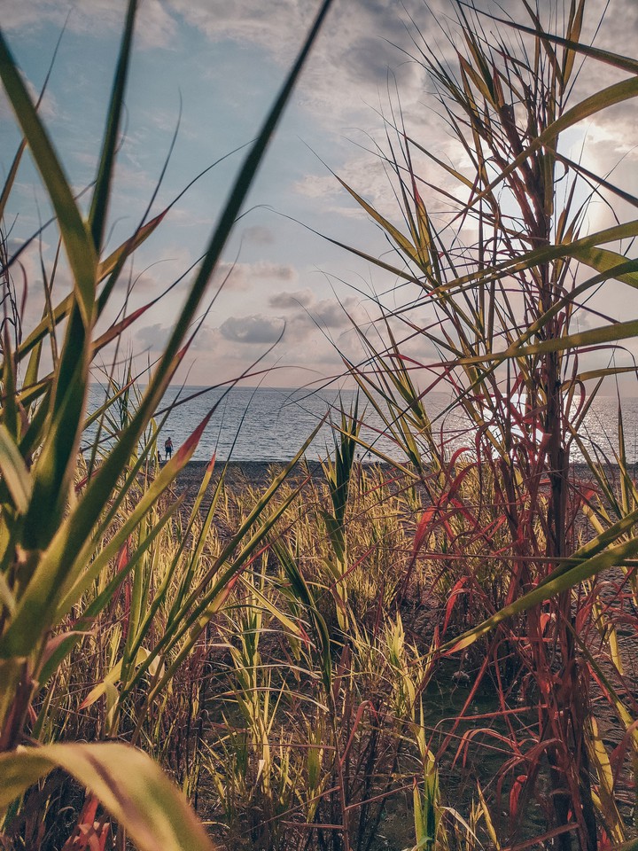 sea