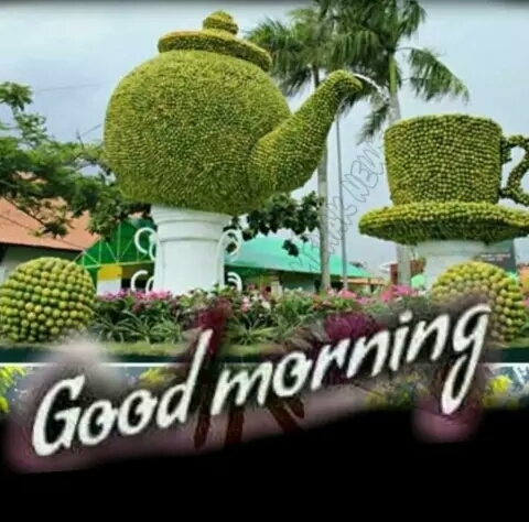 Good morning
