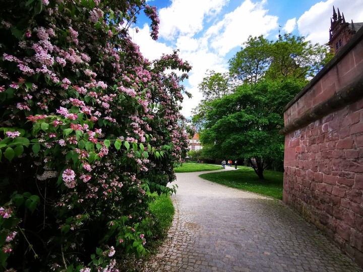 Aschaffenburg ?? Germany