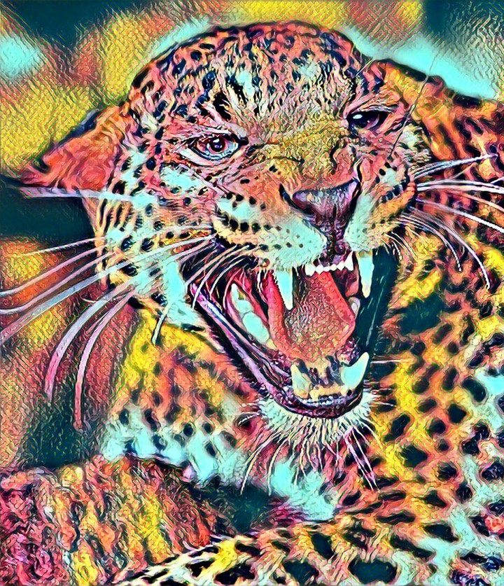 Leopard