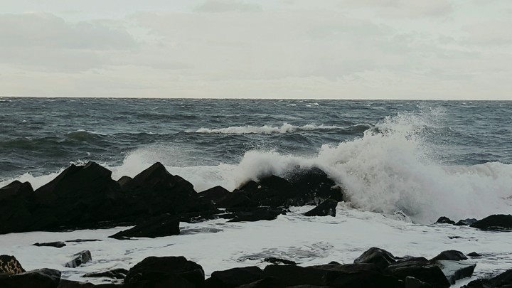 my ocean 
