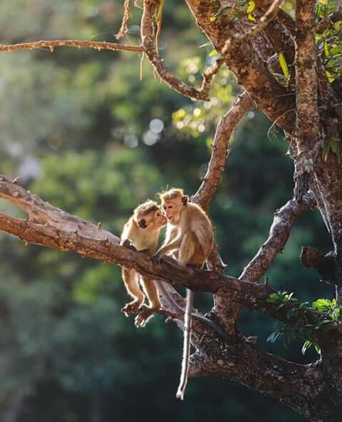 Lovely friends ......