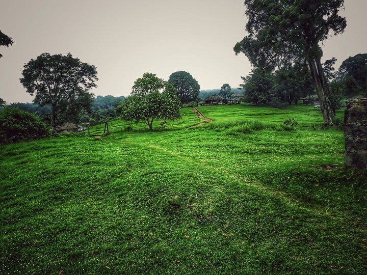 Landscape