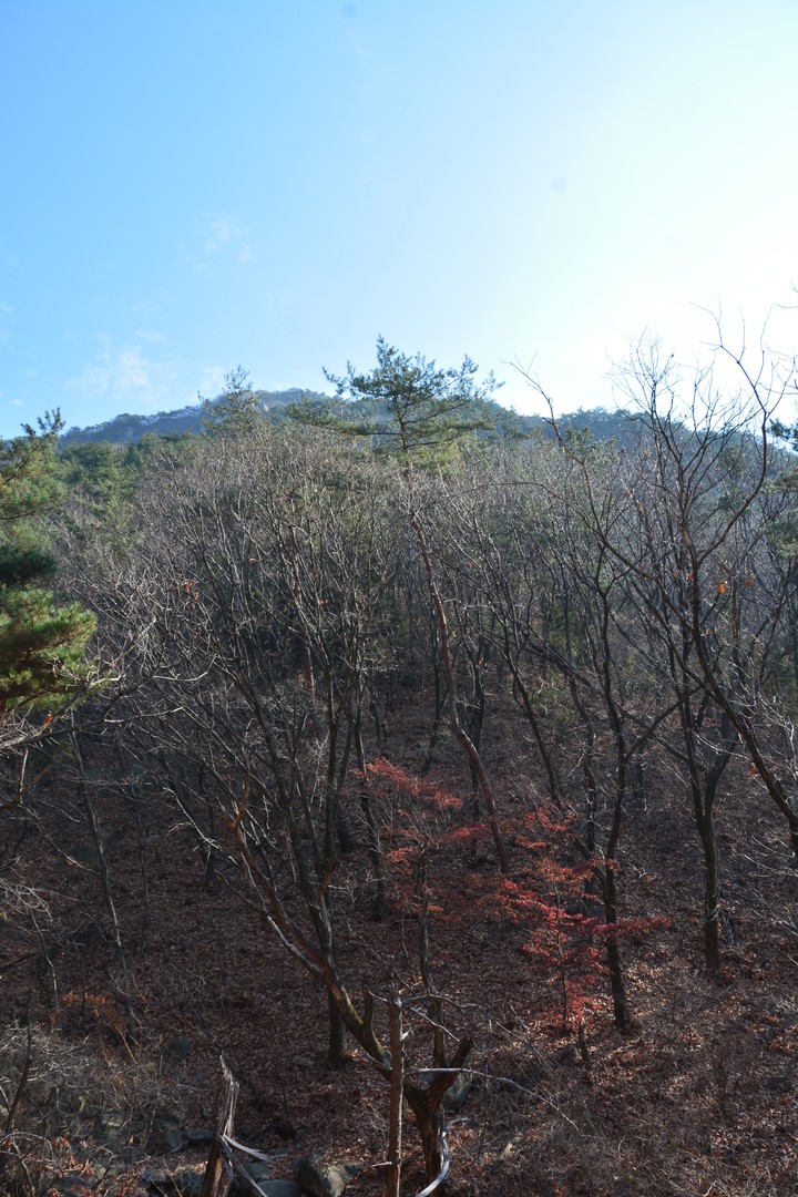 수락산이미지