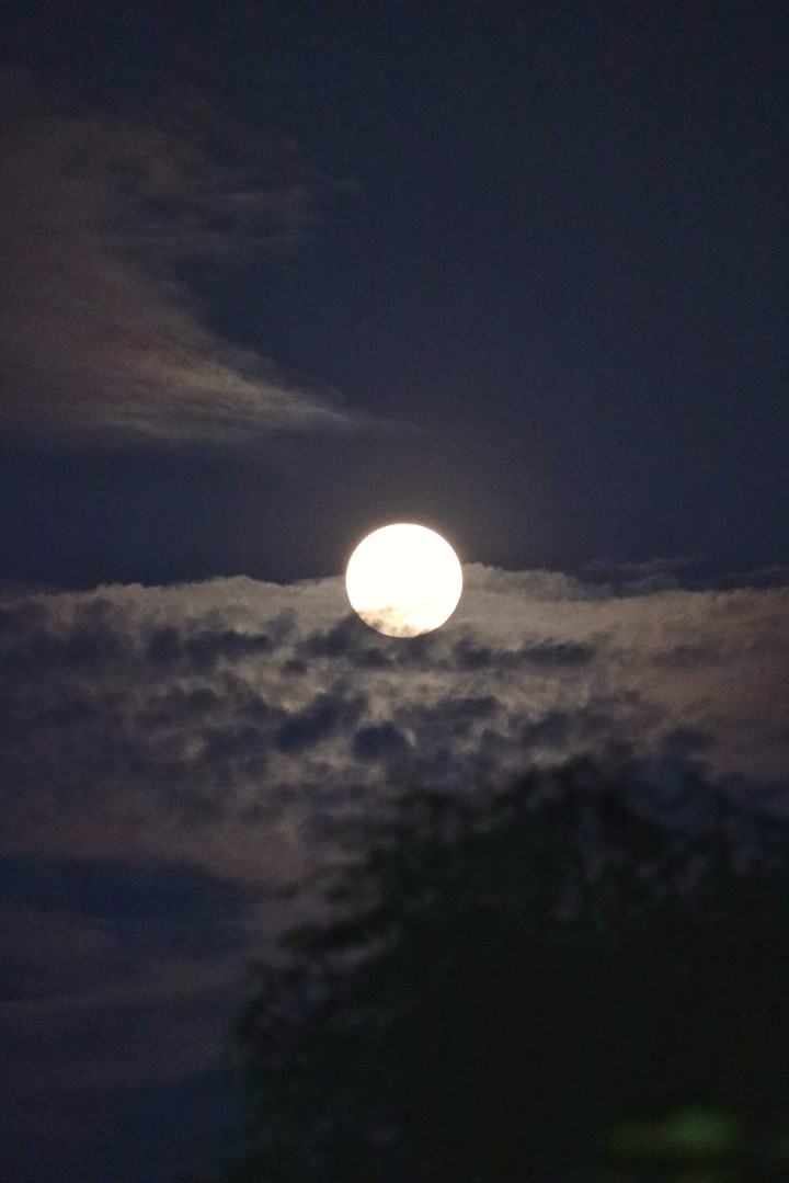 moon