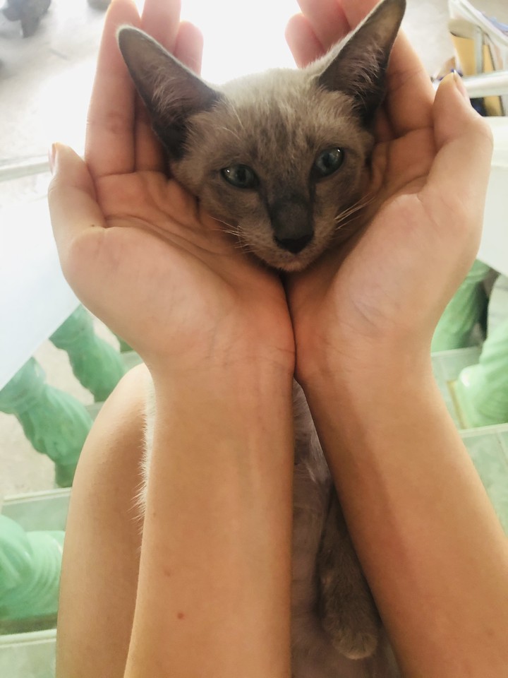 ?