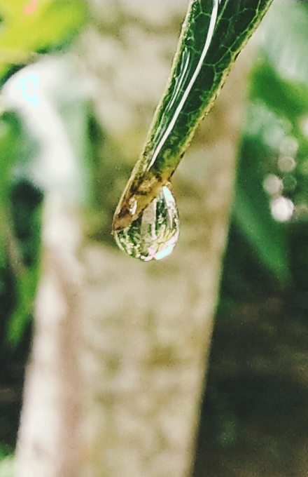 drop