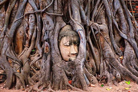 Buddha