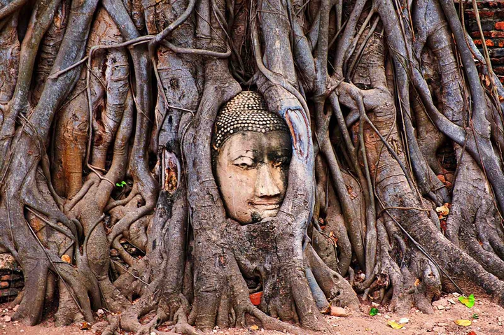 Buddha