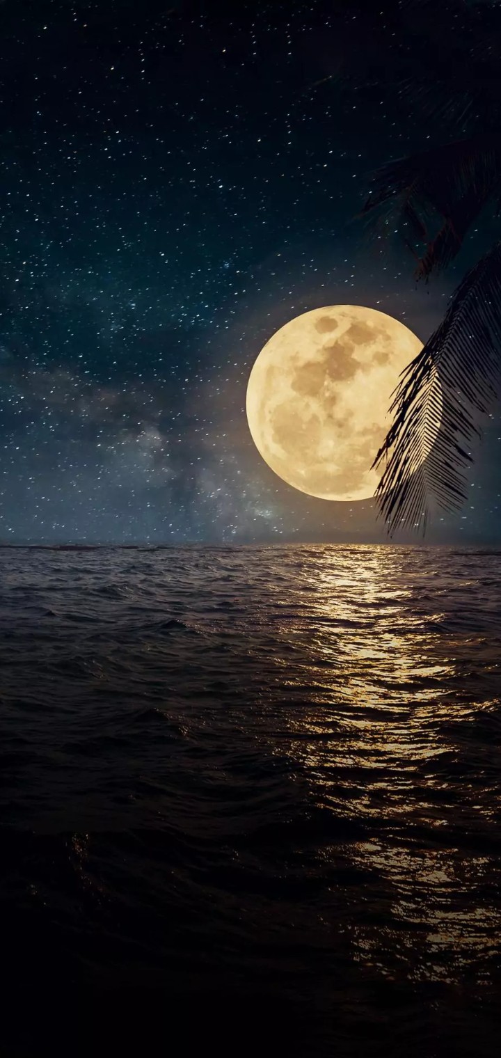 Moon