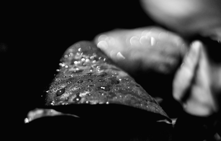 when it rains.