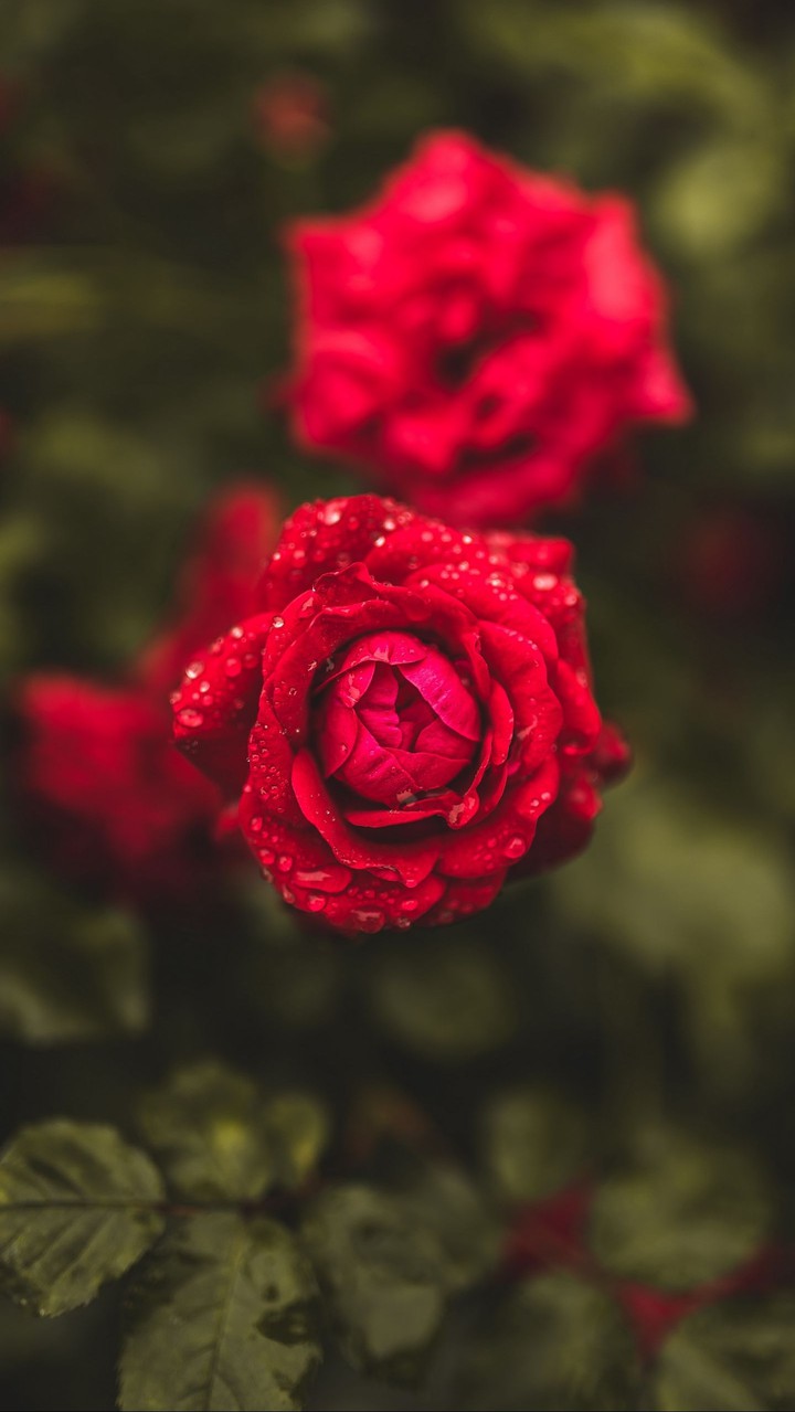 ❤