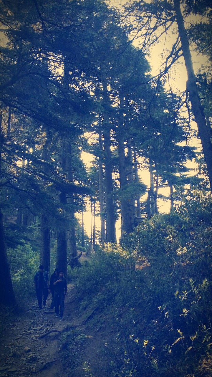 jammu,india