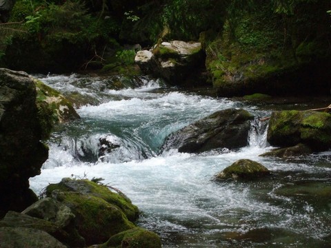 Clean water