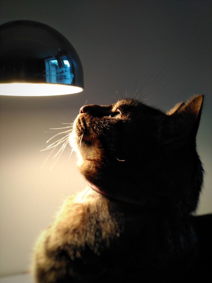 Pixie