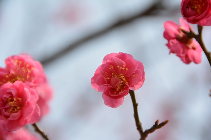 풍경이미지