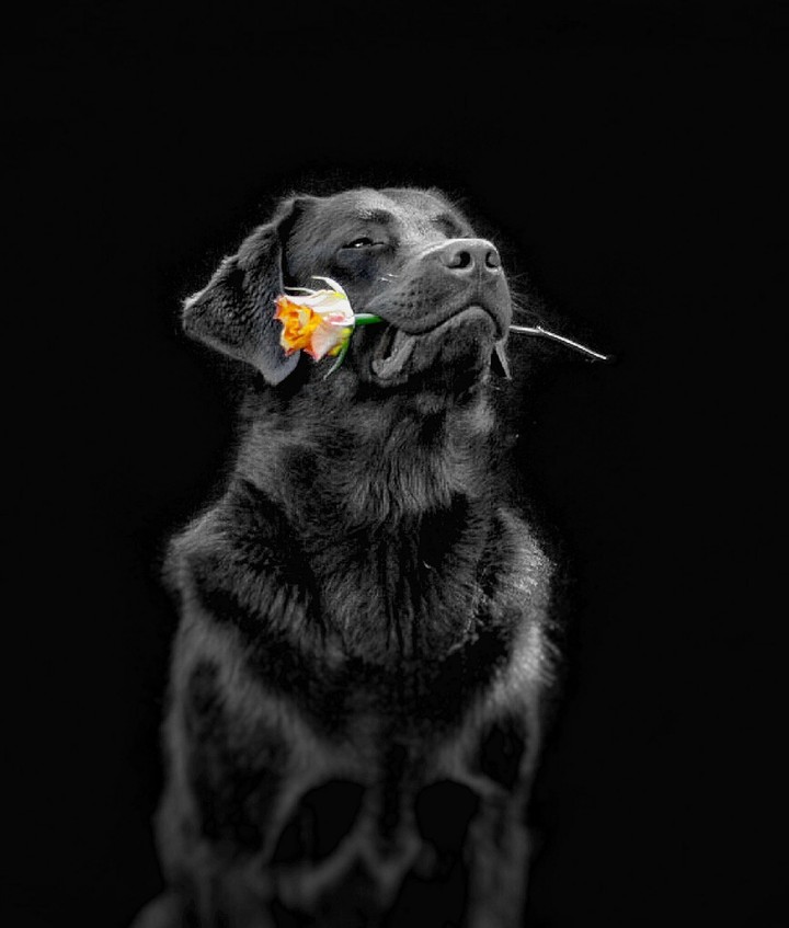 black