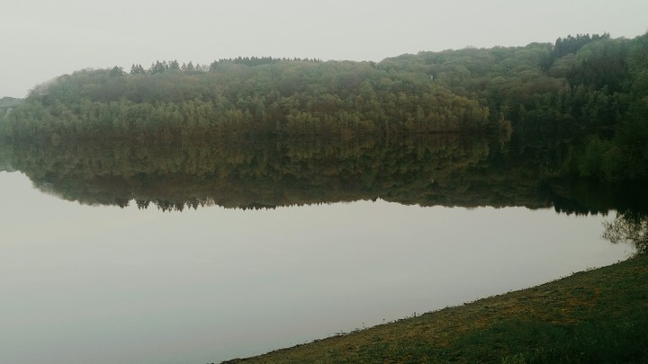 nature ♡