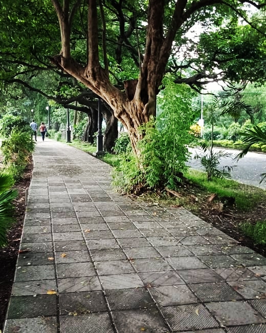 alone