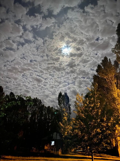 sfondi cloud, branch